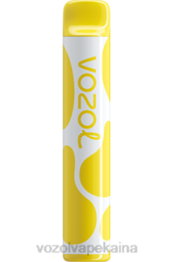 VOZOL Elektronine Cigarete - VOZOL JOYGO 600 citrinų pyragas Z0HR383