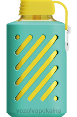 VOZOL Kaina - VOZOL GEAR 10 000 dvigubas obuolys Z0HR289