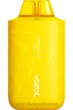 VOZOL Kaina - VOZOL STAR 6000/8000 v2 ananasų ledas Z0HR64