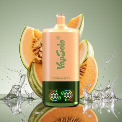 VapSolo Triple 30000 Puffs Triple Melon 40ml 50mg/ml Type-C