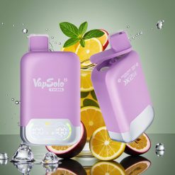 Vapsolo Twins 20000 Puffs Avių Vaisių Mojito & Trigubė Mėta, 40ml, 20mg/ml/50mg/ml, Type-C