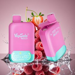 Vapsolo Twins 20000 Puffs Braškė avietė vyšnia ledas & vynuogė ledas, 40 ml, 20mg/ml