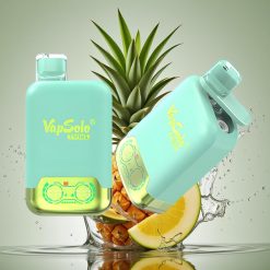 Vapsolo Twins 20000 Puffs Triple Melionas & Ananasas-Kokosas 40ml 50mg/ml Type-C