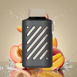 VOZOL GEAR 10000 Disposable Vape Persikų Mango Sultys, 10000 Puffs, 20ml, 50mg/ml