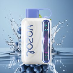 VOZOL STAR 40000 Puffs Disposable Vape Mėlynųjų serbentų mėta, 20/50mg/ml, Type-C
