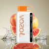 VOZOL STAR 9000/12000 Disposable Vape Persikas Mango Arbūzas, 650mAh, S.i.L.C TECH